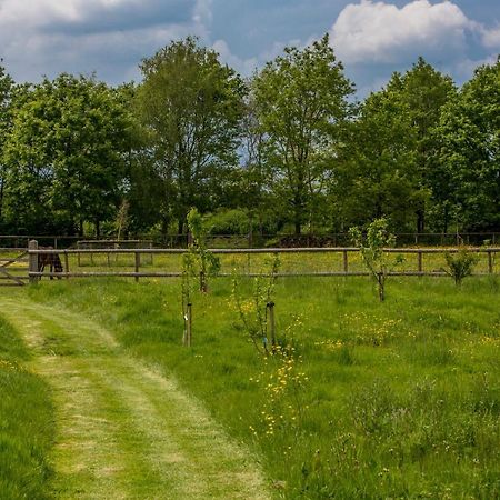 The Cowsheds Villa Brinkworth Exteriör bild