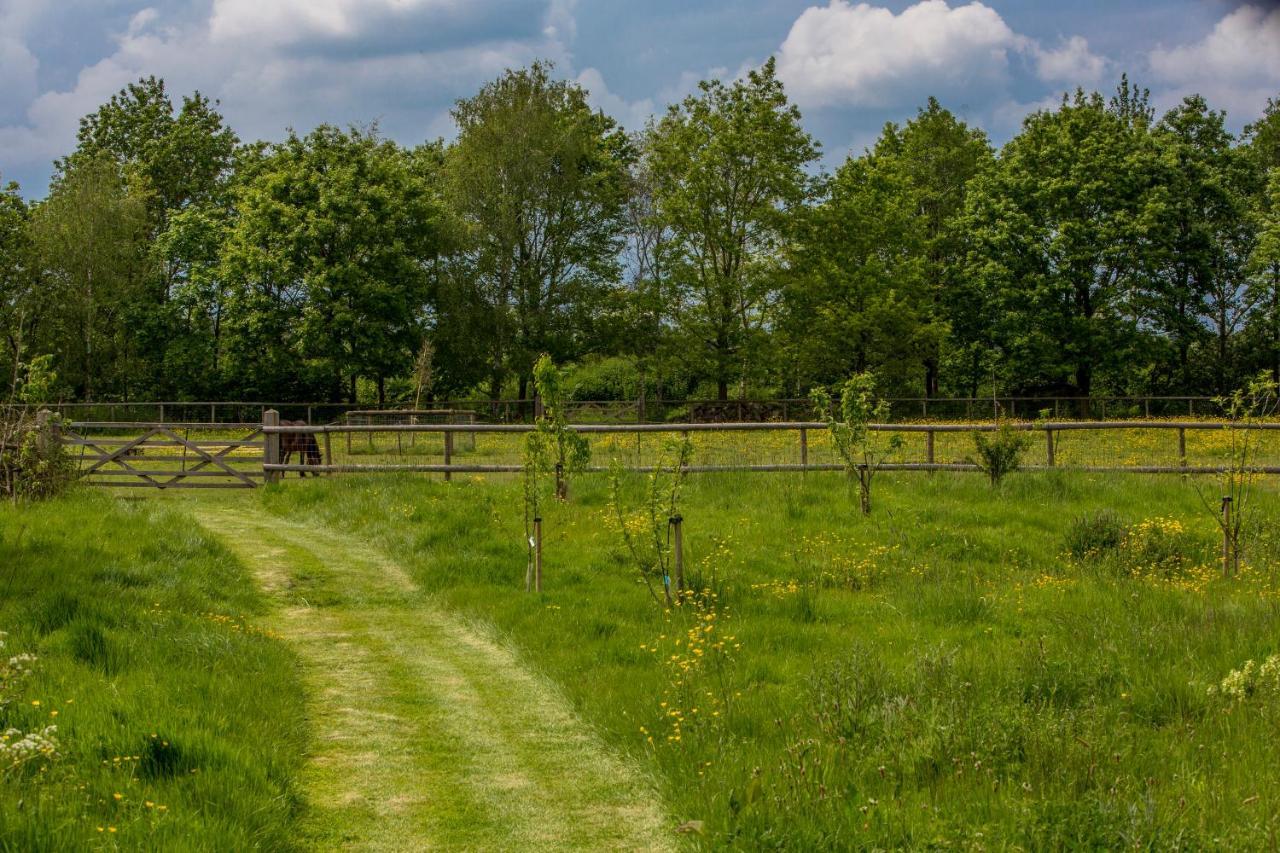 The Cowsheds Villa Brinkworth Exteriör bild